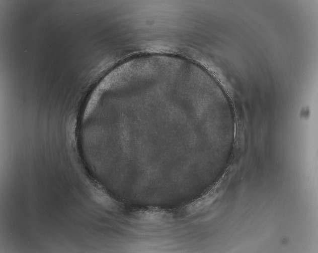 X0000116780201201001141518