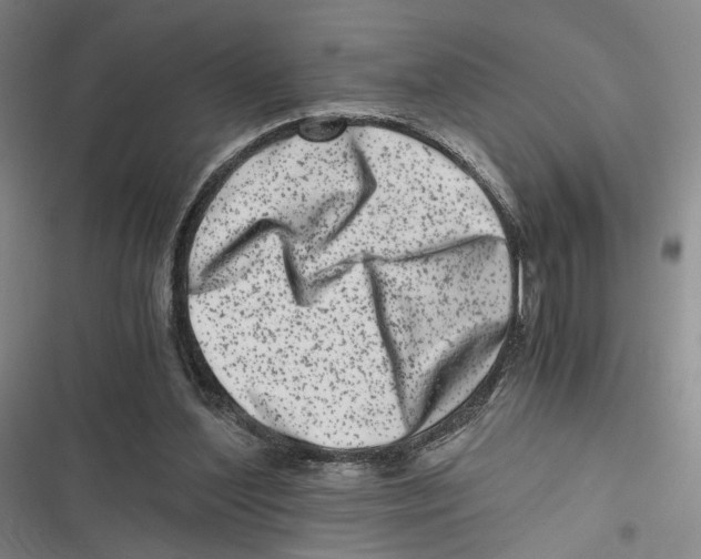 X0000116780204201001141518