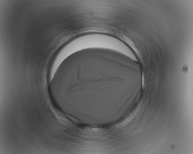 X0000116780205201001141518