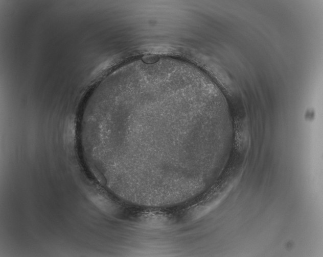 X0000116780207201001141518