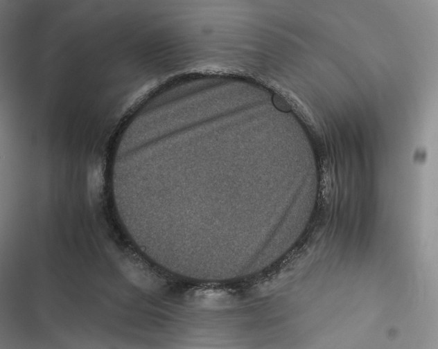 X0000116780208201001141518