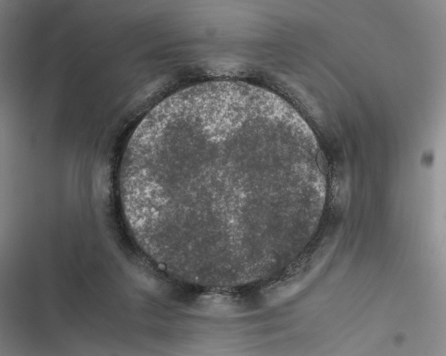 X0000116780211201001141518