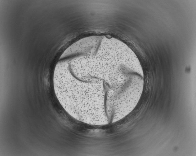 X0000116780212201001141518