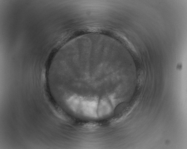 X0000116780213201001141518