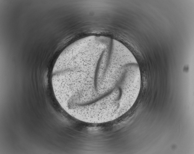 X0000116780216201001141518