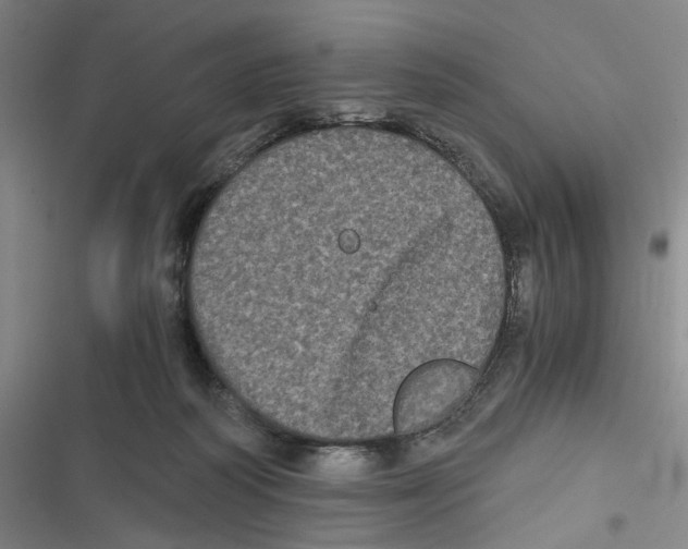 X0000116780218201001141518