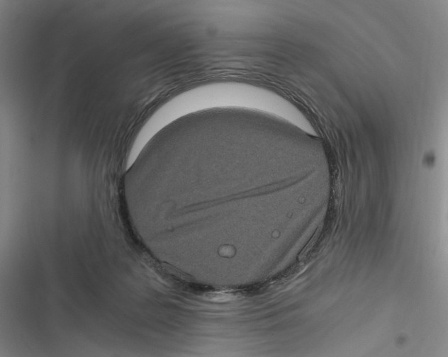 X0000116780219201001141518