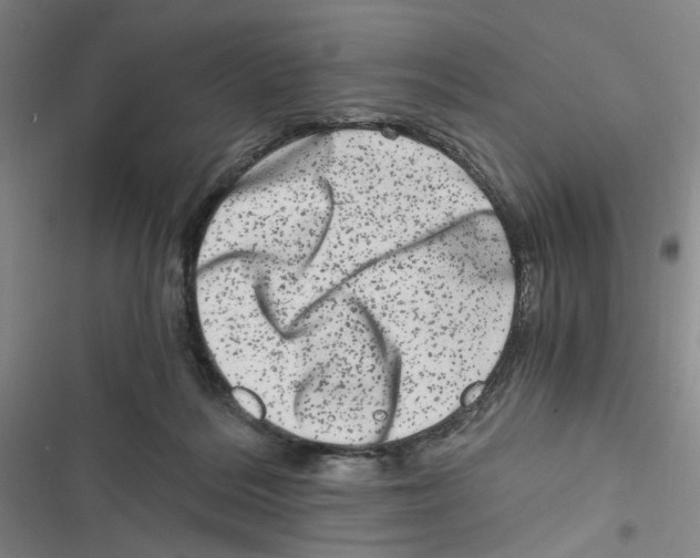 X0000116780220201001141518