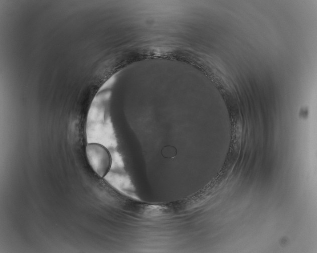 X0000116780222201001141518