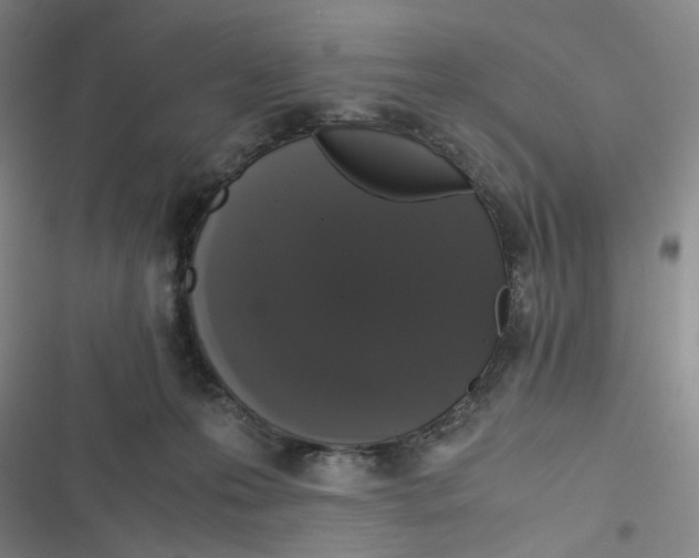 X0000116780223201001141518