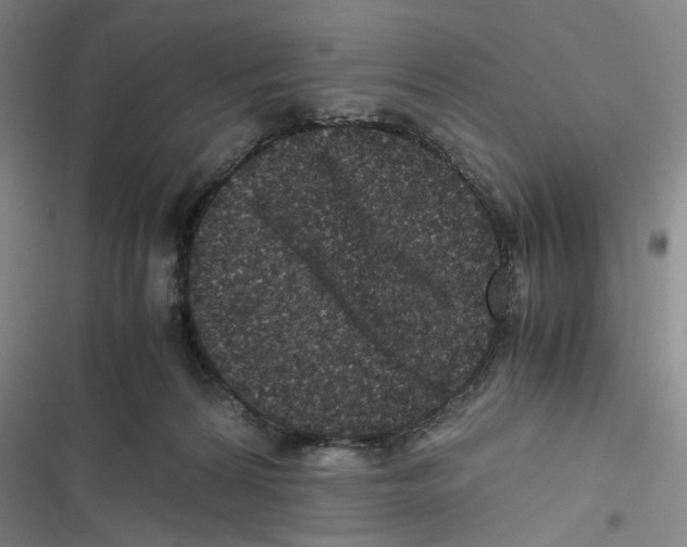 X0000116780224201001141518