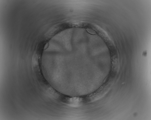 X0000116780225201001141518