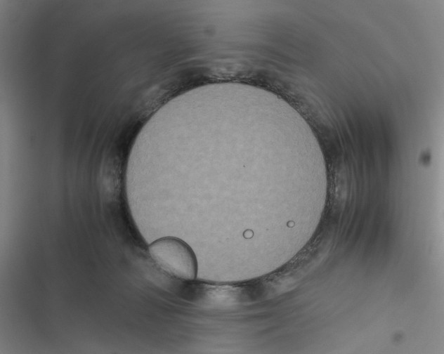 X0000116780226201001141518