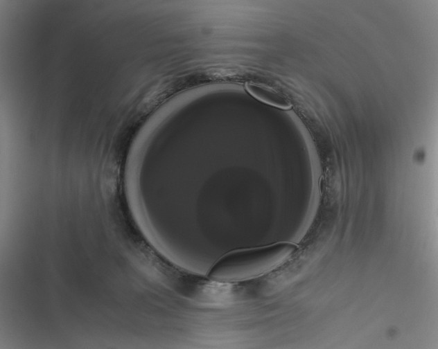 X0000116780227201001141518