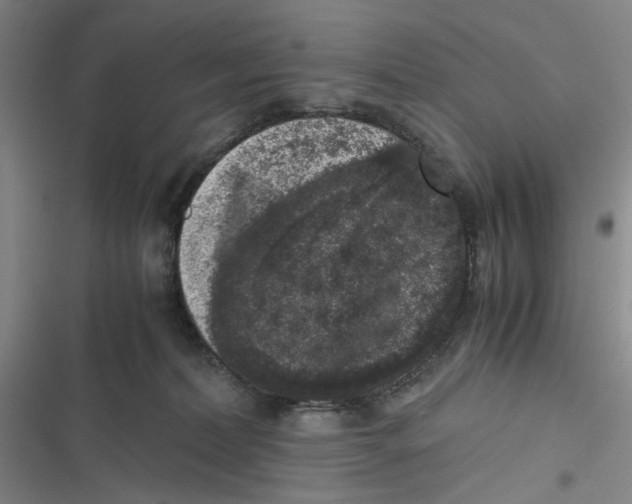 X0000116780228201001141518