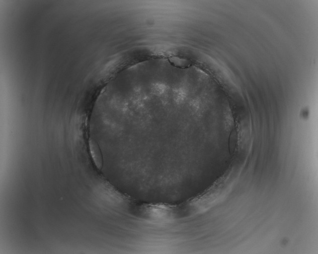 X0000116780229201001141518