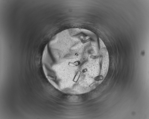 X0000116780230201001141518