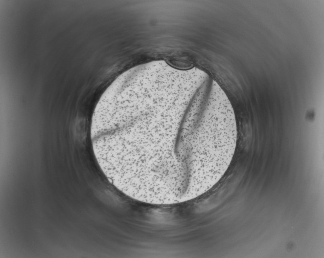 X0000116780232201001141518