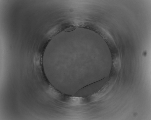 X0000116780233201001141518