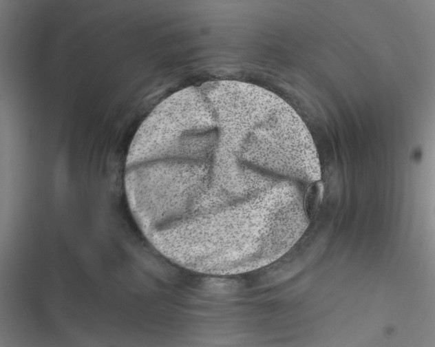 X0000116780234201001141518