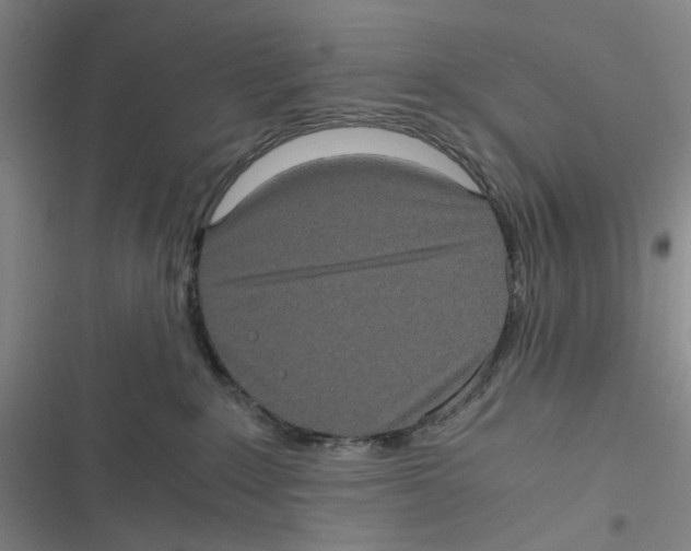 X0000116780235201001141518