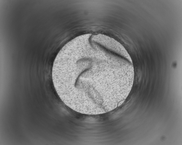 X0000116780236201001141518