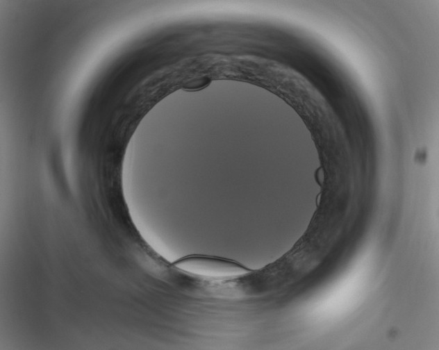 X0000116780239201001141518