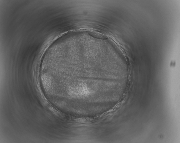 X0000116780241201001141517