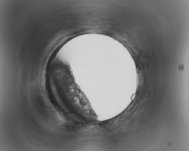 X0000116780243201001141517