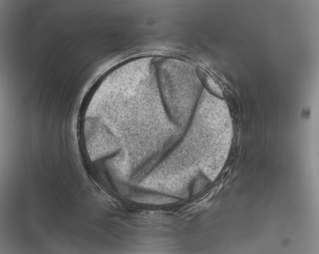 X0000116780244201001141517