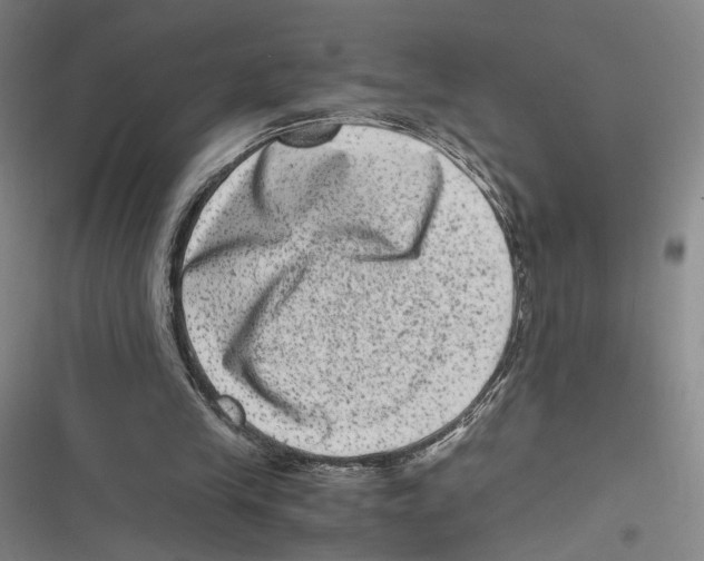 X0000116780245201001141517