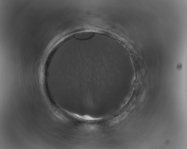 X0000116780247201001141517