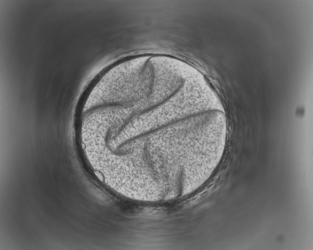 X0000116780248201001141517