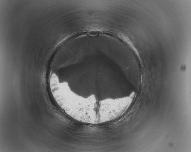 X0000116780249201001141517