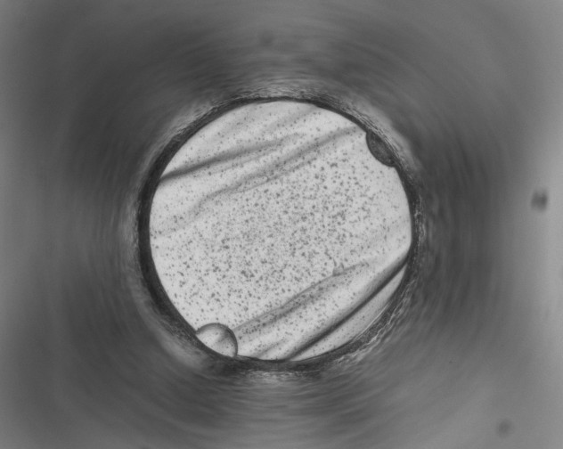 X0000116780250201001141517