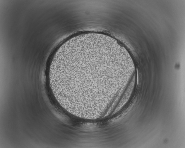 X0000116780252201001141517