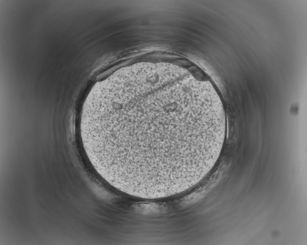 X0000116780253201001141517