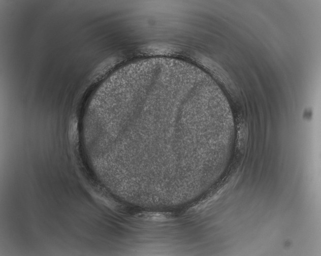 X0000116780254201001141517