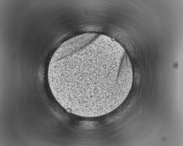 X0000116780255201001141517