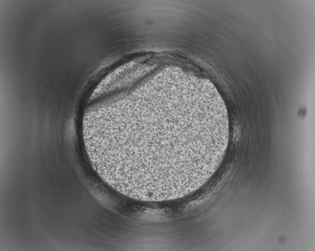 X0000116780256201001141517