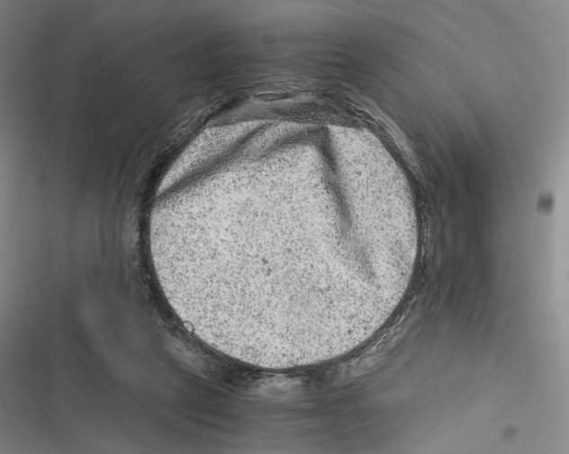 X0000116780257201001141518