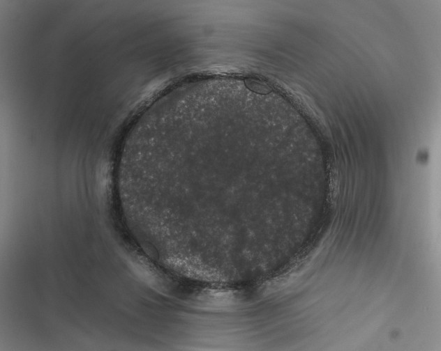 X0000116780260201001141518