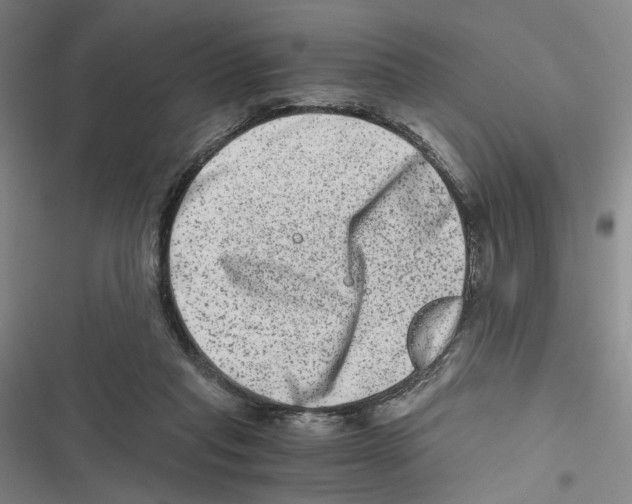 X0000116780261201001141518