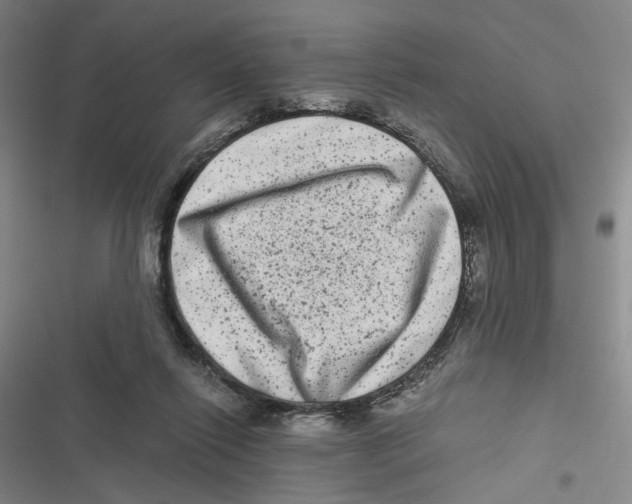 X0000116780262201001141518