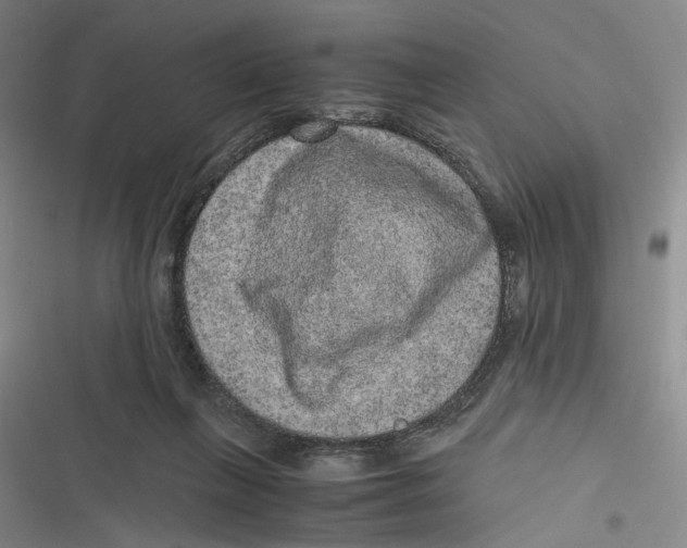 X0000116780263201001141518