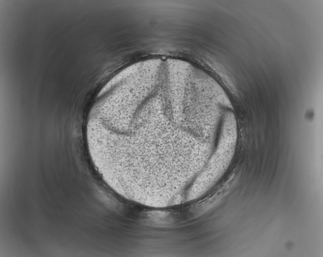 X0000116780265201001141518