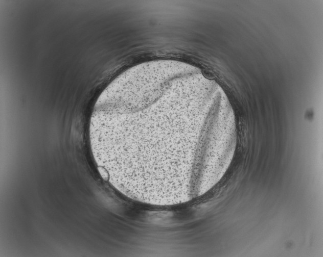 X0000116780266201001141518