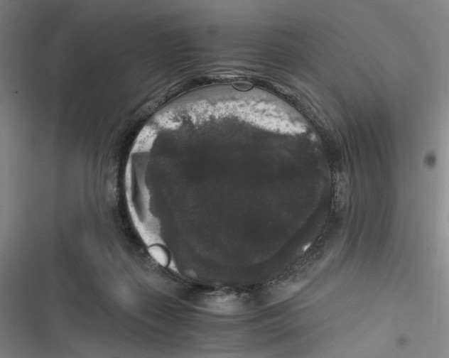 X0000116780267201001141518