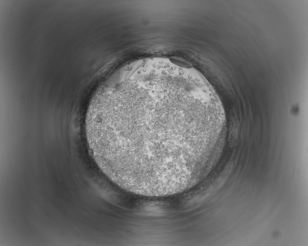 X0000116780268201001141518