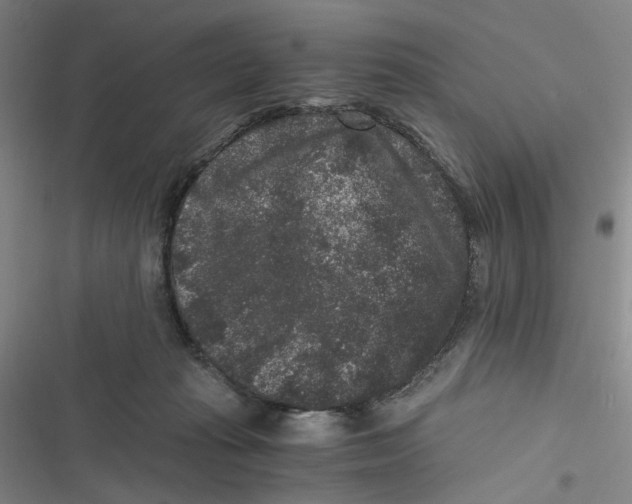 X0000116780269201001141518